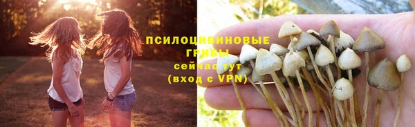 spice Киренск