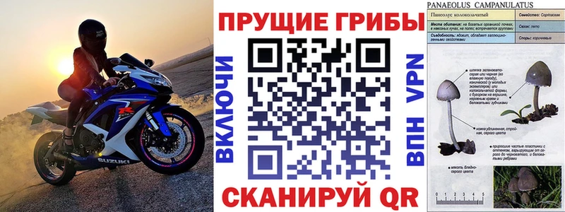 Псилоцибиновые грибы MAGIC MUSHROOMS  omg как войти  Руза 